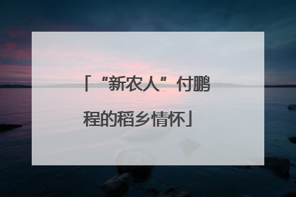 “新农人”付鹏程的稻乡情怀