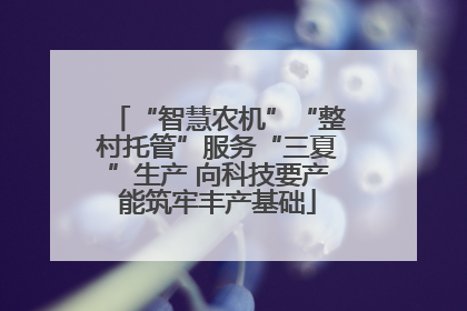 “智慧农机”“整村托管”服务“三夏”生产 向科技要产能筑牢丰产基础