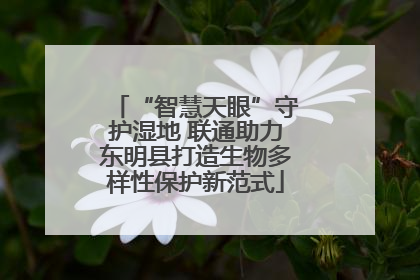 “智慧天眼”守护湿地 联通助力东明县打造生物多样性保护新范式