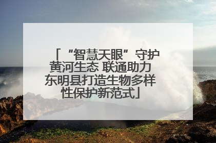 “智慧天眼”守护黄河生态 联通助力东明县打造生物多样性保护新范式