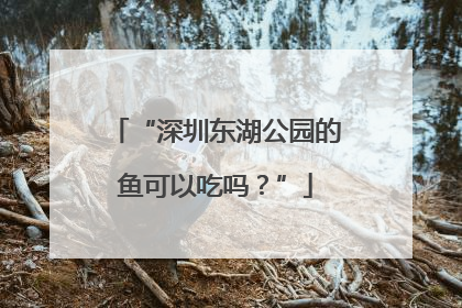 “深圳东湖公园的鱼可以吃吗？”