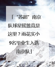“苏超”南京队球星摇篮竟是这里？雨花实小9名毕业生入选南京队