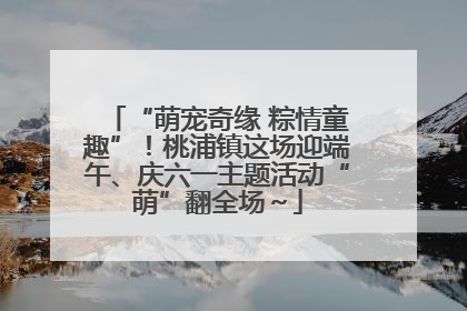 “萌宠奇缘 粽情童趣”！桃浦镇这场迎端午、庆六一主题活动“萌”翻全场～