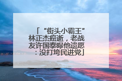 “街头小霸王”林正杰癌逝，老战友许国泰曝他遗愿：没打垮民进党