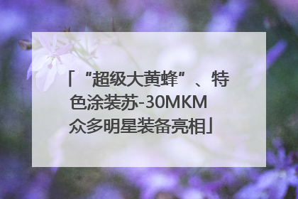 “超级大黄蜂”、特色涂装苏-30MKM 众多明星装备亮相