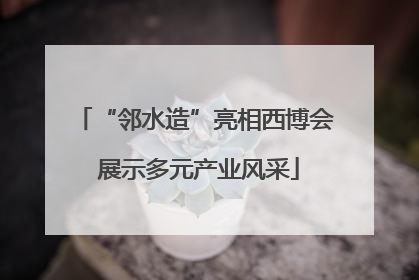 “邻水造”亮相西博会 展示多元产业风采