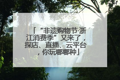 “非遗购物节·浙江消费季”又来了，探店、直播、云平台，你玩哪哪种