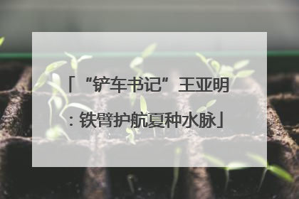 “铲车书记”王亚明：铁臂护航夏种水脉