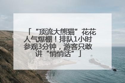 “顶流大熊猫”花花人气爆棚！排队1小时参观3分钟，游客只敢讲“悄悄话”