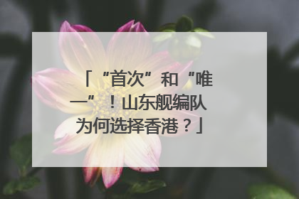 “首次”和“唯一”！山东舰编队为何选择香港？