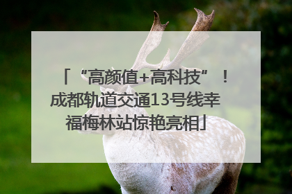 “高颜值+高科技”！成都轨道交通13号线幸福梅林站惊艳亮相