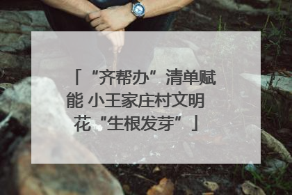 “齐帮办”清单赋能 小王家庄村文明花“生根发芽”