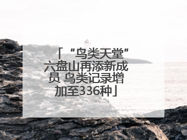 “鸟类天堂”六盘山再添新成员 鸟类记录增加至336种