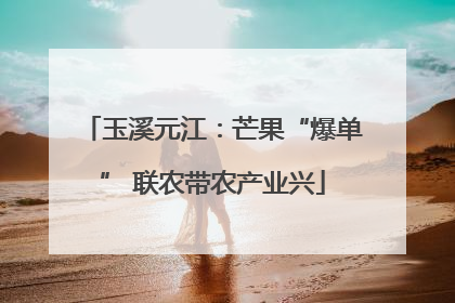 玉溪元江：芒果“爆单” 联农带农产业兴