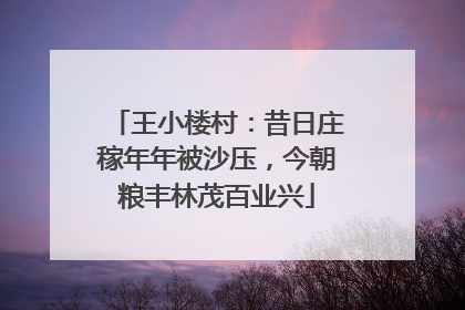 王小楼村：昔日庄稼年年被沙压，今朝粮丰林茂百业兴