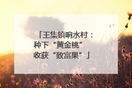 王集镇响水村：种下“黄金桃” 收获“致富果”