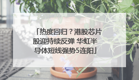 热度回归？港股芯片股迎持续反弹 华虹半导体短线强势5连阳