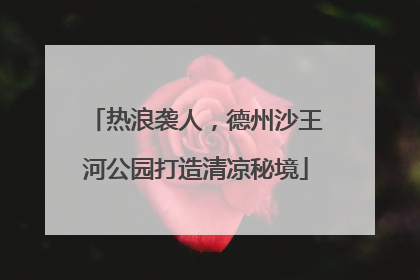 热浪袭人，德州沙王河公园打造清凉秘境