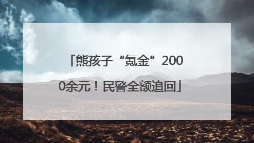 熊孩子“氪金”2000余元！民警全额追回
