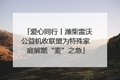 爱心同行丨潍柴雷沃公益机收联盟为特殊家庭解燃“麦”之急