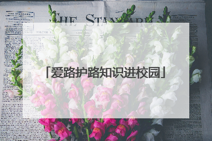 爱路护路知识进校园