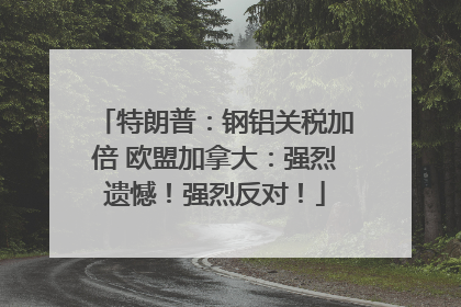 特朗普：钢铝关税加倍 欧盟加拿大：强烈遗憾！强烈反对！