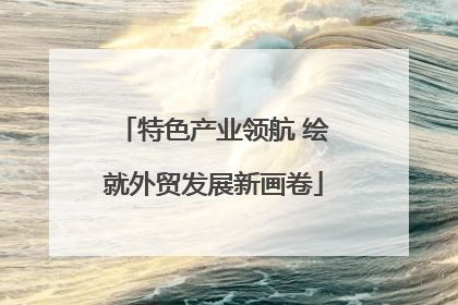 特色产业领航 绘就外贸发展新画卷