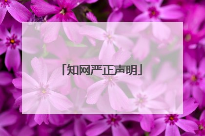知网严正声明