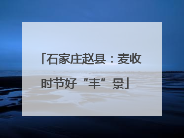 石家庄赵县：麦收时节好“丰”景