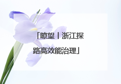 瞭望丨浙江探路高效能治理