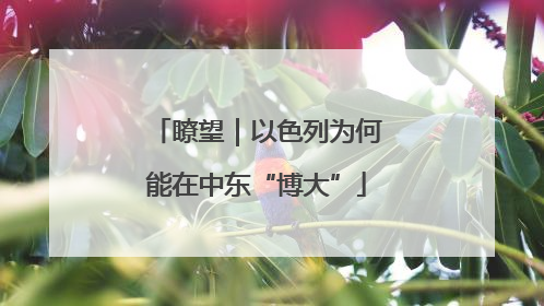 瞭望｜以色列为何能在中东“博大”