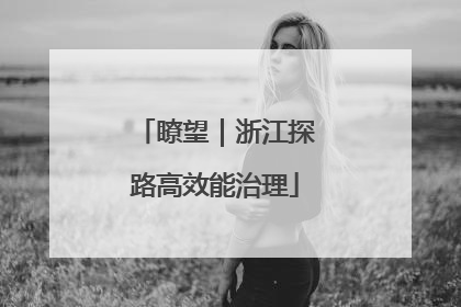 瞭望｜浙江探路高效能治理