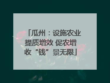 瓜州：设施农业提质增效 促农增收“钱”景无限