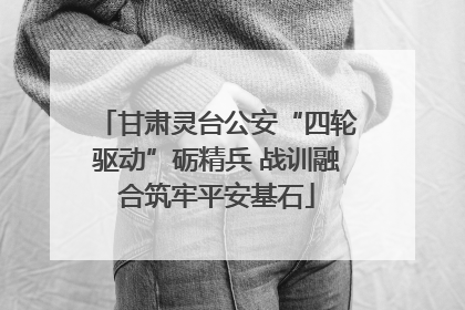 甘肃灵台公安“四轮驱动”砺精兵 战训融合筑牢平安基石