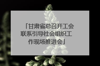甘肃省总召开工会联系引导社会组织工作现场推进会