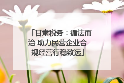 甘肃税务：循法而治 助力民营企业合规经营行稳致远