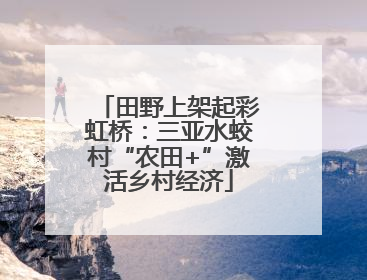 田野上架起彩虹桥：三亚水蛟村“农田+”激活乡村经济