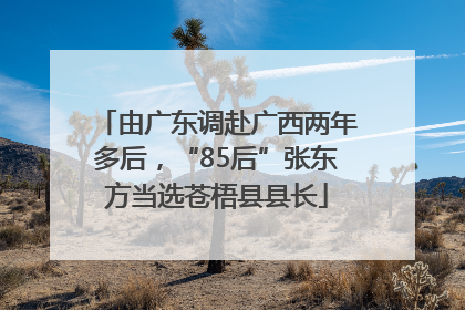 由广东调赴广西两年多后，“85后”张东方当选苍梧县县长