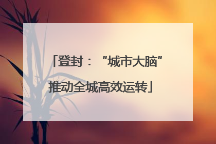 登封：“城市大脑”推动全城高效运转