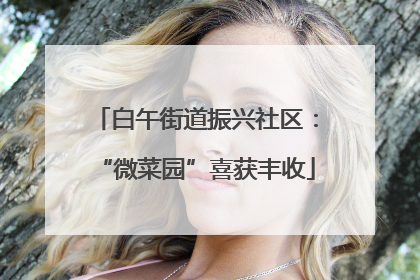 白午街道振兴社区：“微菜园”喜获丰收