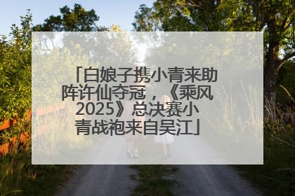 白娘子携小青来助阵许仙夺冠，《乘风2025》总决赛小青战袍来自吴江