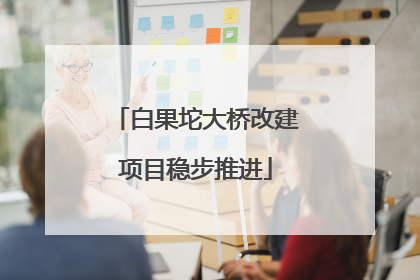 白果坨大桥改建项目稳步推进