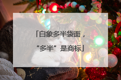 白象多半袋面，“多半”是商标