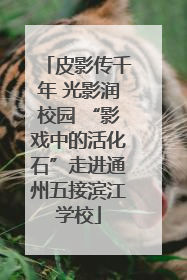 皮影传千年 光影润校园 “影戏中的活化石”走进通州五接滨江学校