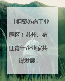 相聚苏宿工业园区！苏州、宿迁青年企业家共谋发展