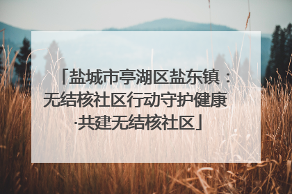 盐城市亭湖区盐东镇：无结核社区行动守护健康 ·共建无结核社区