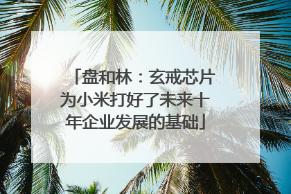 盘和林：玄戒芯片为小米打好了未来十年企业发展的基础