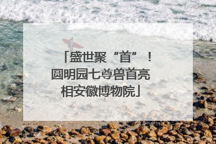 盛世聚“首”！圆明园七尊兽首亮相安徽博物院