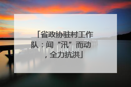 省政协驻村工作队：闻“汛”而动，全力抗洪