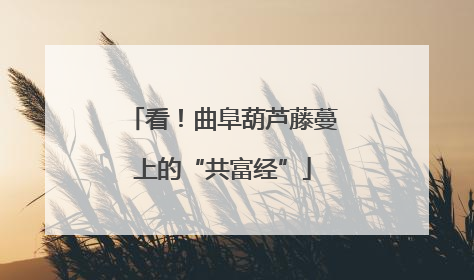 看！曲阜葫芦藤蔓上的“共富经”